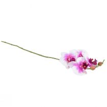 Artikel Orkidé Artificiell Phalaenopsis 4 Blommor Vit Rosa 72cm