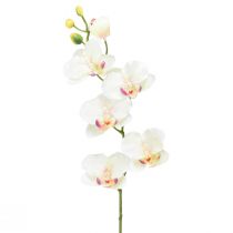 Artikel Orkidé Phalaenopsis konstgjord 6 blommor krämrosa 70cm