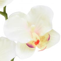 Artikel Orkidé Phalaenopsis konstgjord 6 blommor krämrosa 70cm