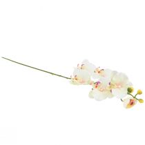 Artikel Orkidé Phalaenopsis konstgjord 6 blommor krämrosa 70cm