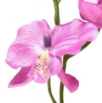 Artikel Orkidé Phalaenopsis konstgjord 6 blommor lila 70cm