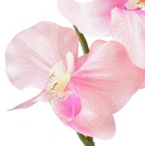 Artikel Orkidé Phalaenopsis konstgjord 6 blommor rosa 70cm