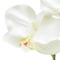 Artikel Orkidé Phalaenopsis konstgjord 6 blommor vit kräm 70cm