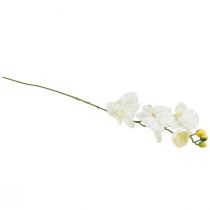 Artikel Orkidé Phalaenopsis konstgjord 6 blommor vit kräm 70cm