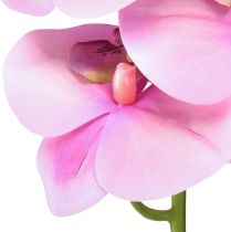 Artikel Orkidé Phalaenopsis konstgjord 8 blommor rosa 104cm