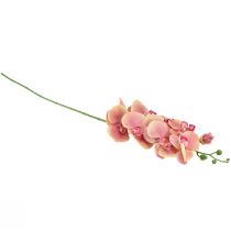 Artikel Orkidé Phalaenopsis konstgjord 9 blommor rosa vanilj 96cm