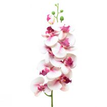 Artikel Orkidé Phalaenopsis konstgjord 9 blommor vit fuchsia 96cm