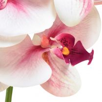 Artikel Orkidé Phalaenopsis konstgjord 9 blommor vit fuchsia 96cm