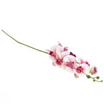 Artikel Orkidé Phalaenopsis konstgjord 9 blommor vit fuchsia 96cm