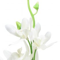 Artikel Orkidéer konstgjorda Oncidium konstgjorda blommor vita 90cm