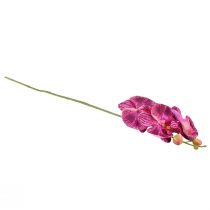 Artikel Orkidé flammad konstgjord Phalaenopsis lila 72cm