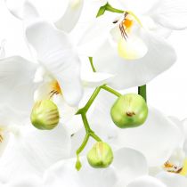 Konstgjorda orkidéer för den vita potten 80cm