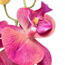 Artikel Konstgjord orkidé Phalaenopsis Orchid Fuchsia 78cm