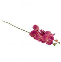 Artikel Konstgjord orkidé Phalaenopsis Orchid Fuchsia 78cm
