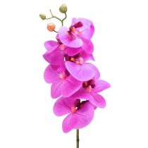 Artikel Konstgjord orkidé Phalaenopsis Orkidé Rosa 78cm