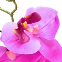 Artikel Konstgjord orkidé Phalaenopsis Orkidé Rosa 78cm