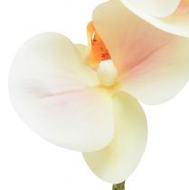 Artikel Artificiell orkidékräm Orange Phalaenopsis 78cm