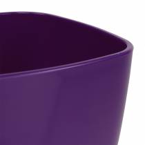 Artikel Orkidékruka, blank, Ø12,5 cm, violett