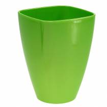 Artikel Orkidékruka blank Ø12,5cm lime 1 st