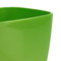 Artikel Orkidékruka blank Ø12,5cm lime 1 st