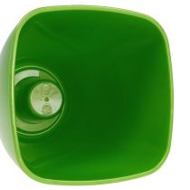 Artikel Orkidékruka blank Ø12,5cm lime 1 st