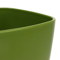Artikel Orkidékruka blank Ø12,5cm olivgrön 1 st