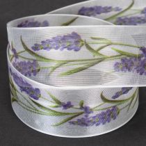 Artikel Organzaband, chiffongband, dekorband, lavendel, 40 mm, 20 m