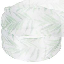 Artikel Organzaband, chiffongband, grönt växtband, 40 mm x 15 m