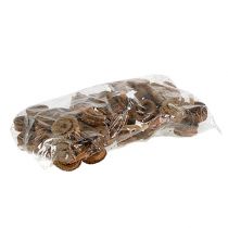 Artikel Palm Hane Nature 25 st