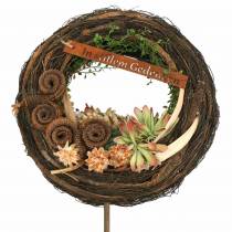 Artikel Palm Hane Nature 25 st