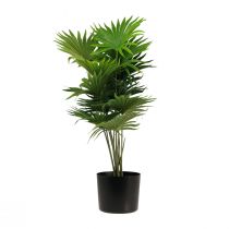 Artikel Palm dekorativ solfjäder palm konstgjorda växter kruka grön 80cm