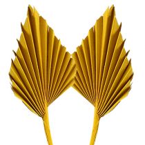 Artikel Palmspear Gul 65 st