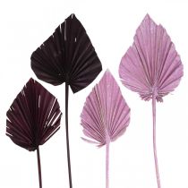 Artikel Palmspear Mix Pink Berry, White Washed Memorial Floristry 65 st