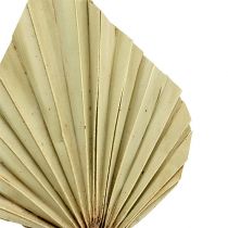 Artikel Palmspear Natural 100 st