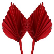 Artikel Palmspear Red 65 st