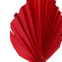 Artikel Palmspear Red 65 st
