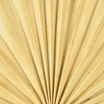 Artikel Palmspear Sun Natural Palm Leaf Torkad Naturlig Dekoration 30 st