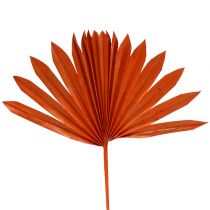 Artikel Palmspear Sun Orange 30 st