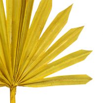 Artikel Palmspear Sun mini gul 50 st