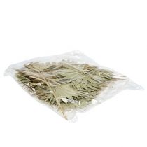 Artikel Palmspjut Sol mini natur 50 st