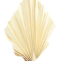 Artikel Palmspear blekt 20 st