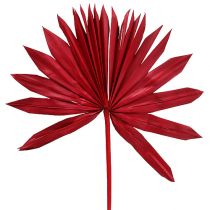 Artikel Palmspear Solröd 30 st