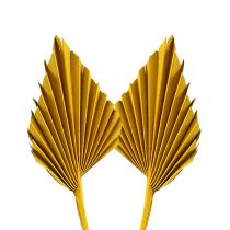 Artikel Palmspear mini gul 100 st