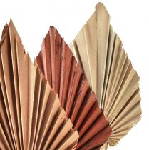 Artikel Palmspear mini assorterad Marocko 30 st