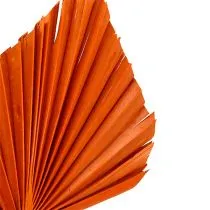 Artikel Palmspjut Apelsin 65 st