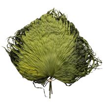 Artikel Palmbladsdekoration för exotiska arrangemang och bordsdekorationer, 5 stycken