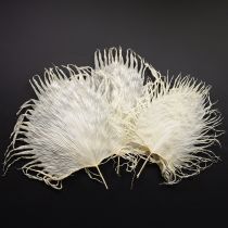 Artikel Palmblad torkade dekorativa blad blekta 45 cm 5 st