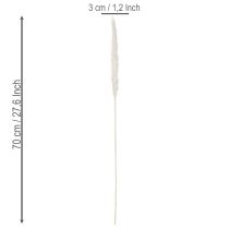 Artikel Pampasgräs torkade blommor blekta 70 cm 15 st