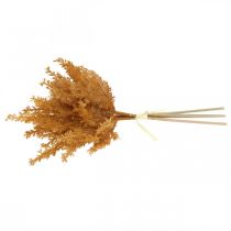 Artikel Konstgjord pampas gräs Orange torrt gräs 35cm 4st
