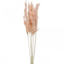 Torkat pampas gräs rosa torkade blommor naturlig dekoration 65-75cm 6st